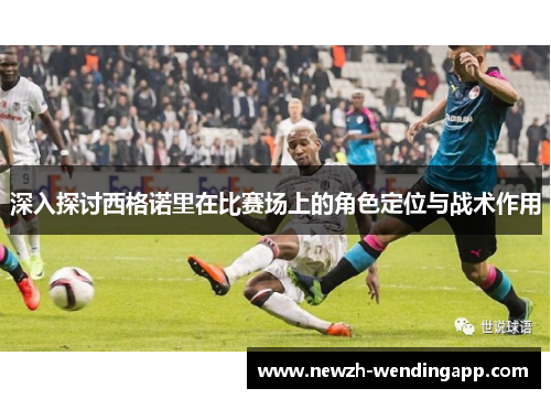 深入探讨西格诺里在比赛场上的角色定位与战术作用