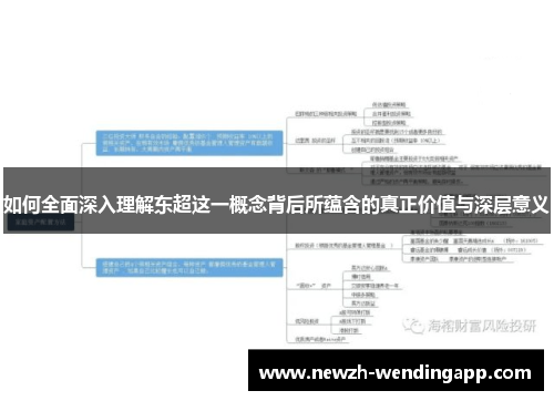 如何全面深入理解东超这一概念背后所蕴含的真正价值与深层意义