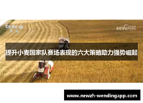 提升小麦国家队赛场表现的六大策略助力强势崛起