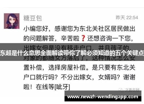 东超是什么意思全面解读带你了解必须知道的五个关键点 东超是什么意思全面解读带你了解必须知道的五个关键点