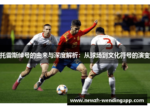 托雷斯绰号的由来与深度解析：从球场到文化符号的演变