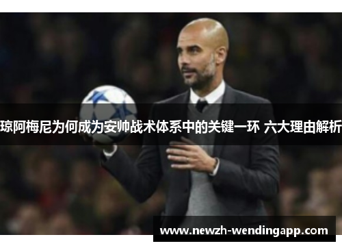 琼阿梅尼为何成为安帅战术体系中的关键一环 六大理由解析