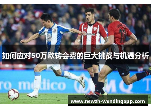 如何应对50万欧转会费的巨大挑战与机遇分析