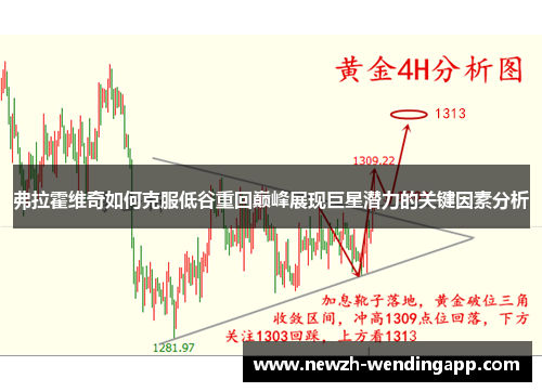 弗拉霍维奇如何克服低谷重回巅峰展现巨星潜力的关键因素分析 弗拉霍维奇如何克服低谷重回巅峰展现巨星潜力的关键因素分析