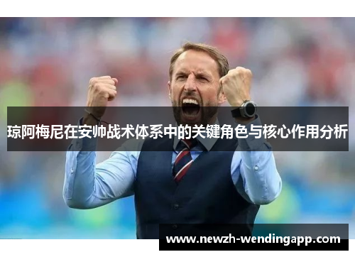 琼阿梅尼在安帅战术体系中的关键角色与核心作用分析