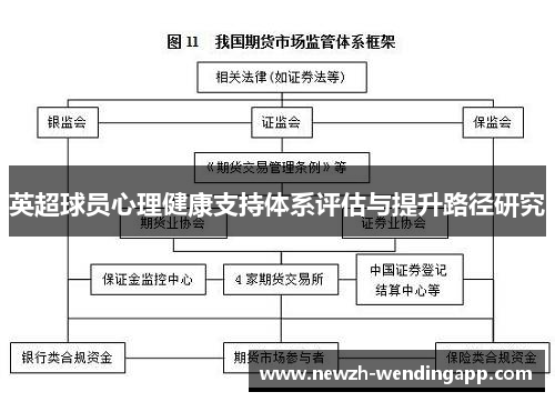 英超球员心理健康支持体系评估与提升路径研究