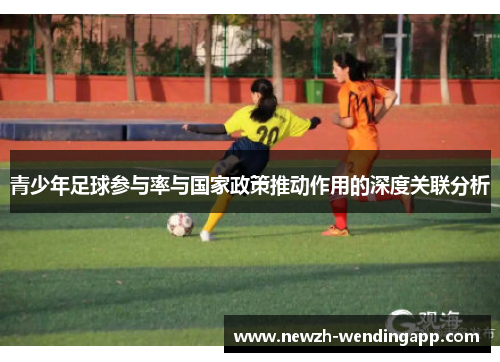 青少年足球参与率与国家政策推动作用的深度关联分析