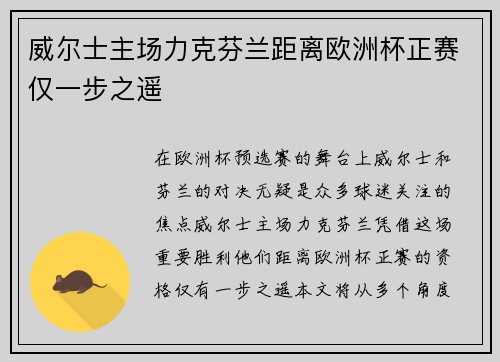 威尔士主场力克芬兰距离欧洲杯正赛仅一步之遥
