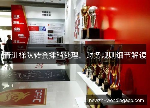 青训梯队转会摊销处理，财务规则细节解读